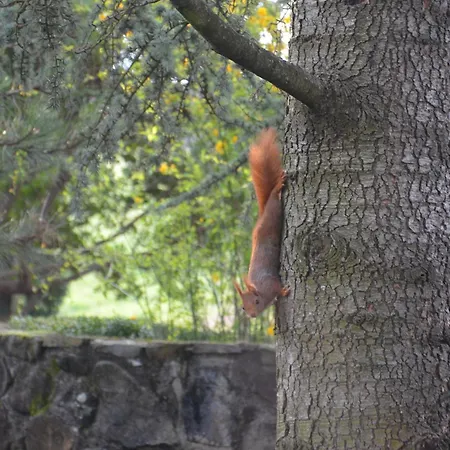 Domaine Insolite Du Petit Moras Couette-café *